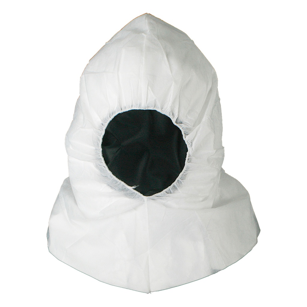 Capucha desechable, pintor